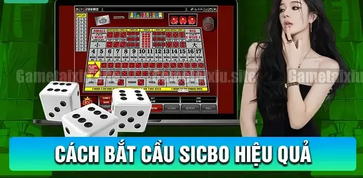 bat cau tai xiu sicbo 68b15fdc7b15f