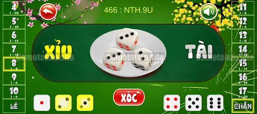 Phân loại cược phù hợp với nguồn vốn hạn chế