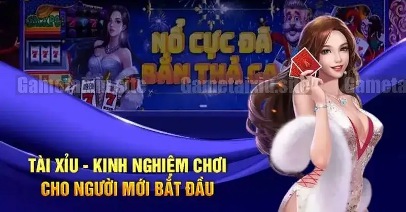 Kinh nghiệm chơi tài xỉu từ cao thủ trực tuyến 3 Các chiến thuật chơi tài xỉu online từ cao thủ